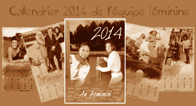 Bilan des actions : Novembre 2013 2/2