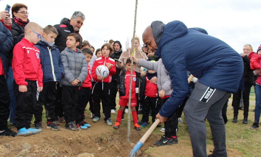 40 arbres plantés à Marsillargues